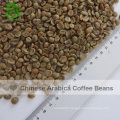 High Quality Good Price of Arabica Raw Coffee Beans